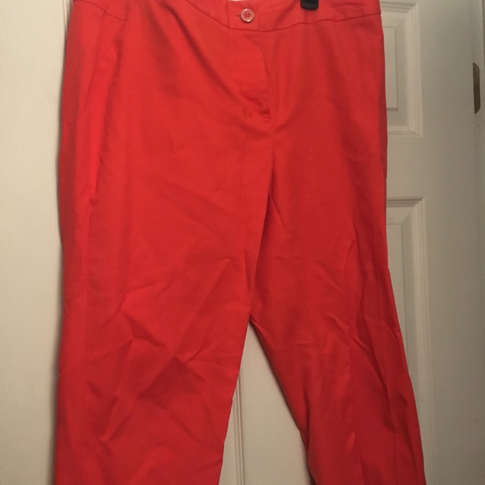 Rafella Curvy fit capris